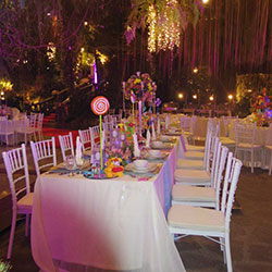 Cycad Garden