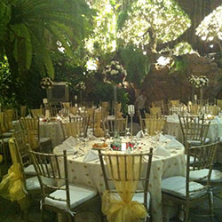 Coral Tree Garden