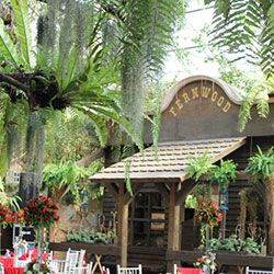 Coral Tree Garden