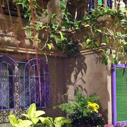 Courtyard Garden
