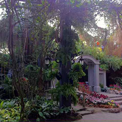 Courtyard Garden