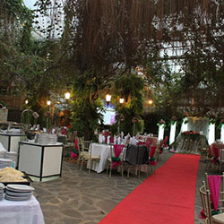 Courtyard Garden