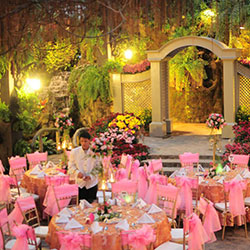 Courtyard Garden