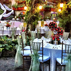 Courtyard Garden