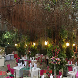 Courtyard Garden