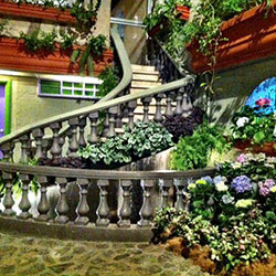 Courtyard Garden
