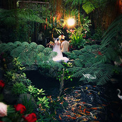 Fernwood 1
